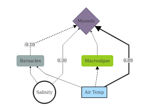 structural equation