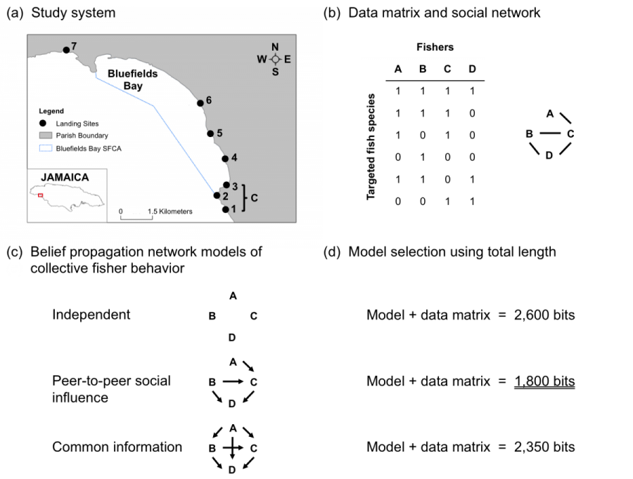 A figure from the paper