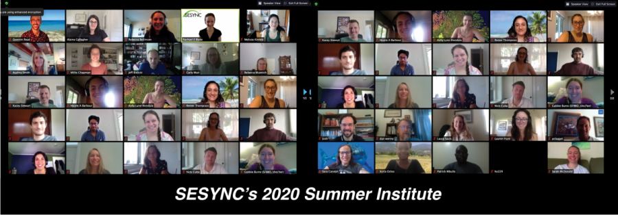 A screenshot of participants of SESYNC's Summer Computational Institute meeting over Zoom