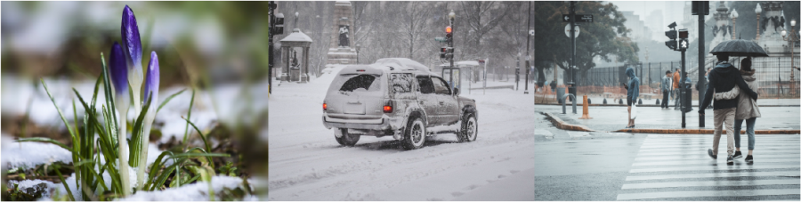  crocus appearing through melting snow, a car in a snowstorm, and people walking in the city during a rainstorm