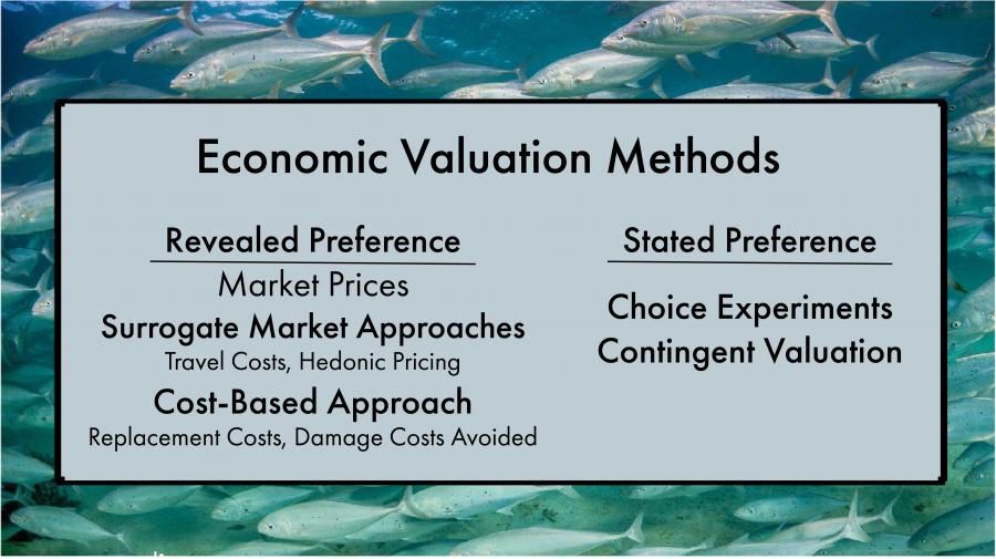 Economic Valuation Methods