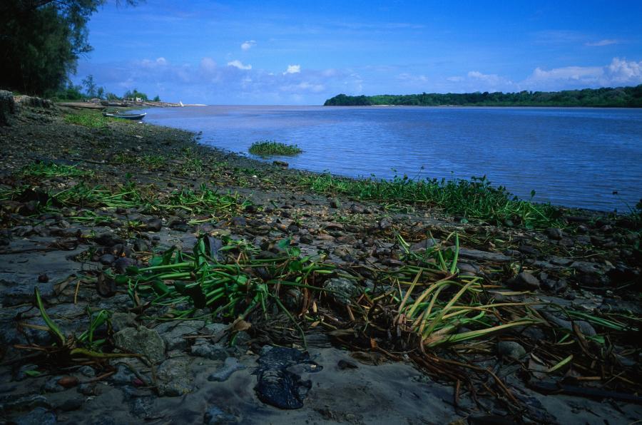 A view of the Pangani River