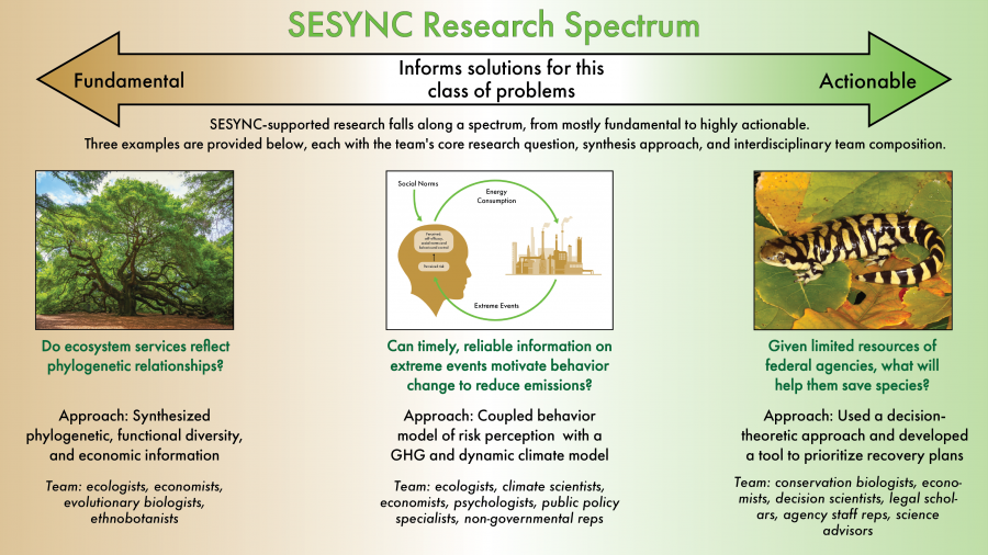 A graphic showing the SESYNC research spectrum