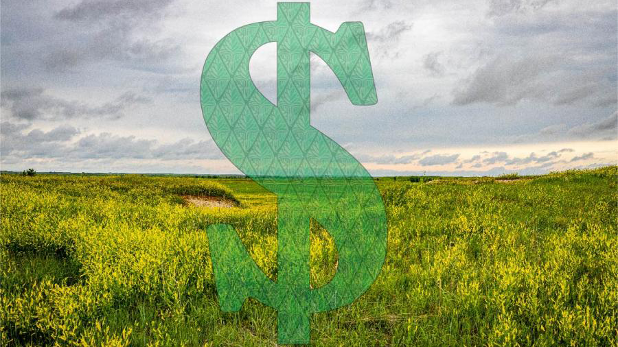 a dollar sign over a field