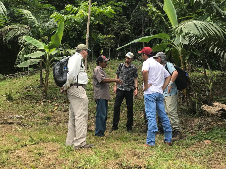 5 men stand talking in a jungle
