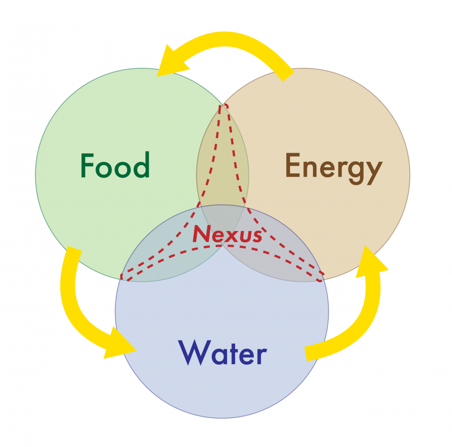 The food-energy-water nexus
