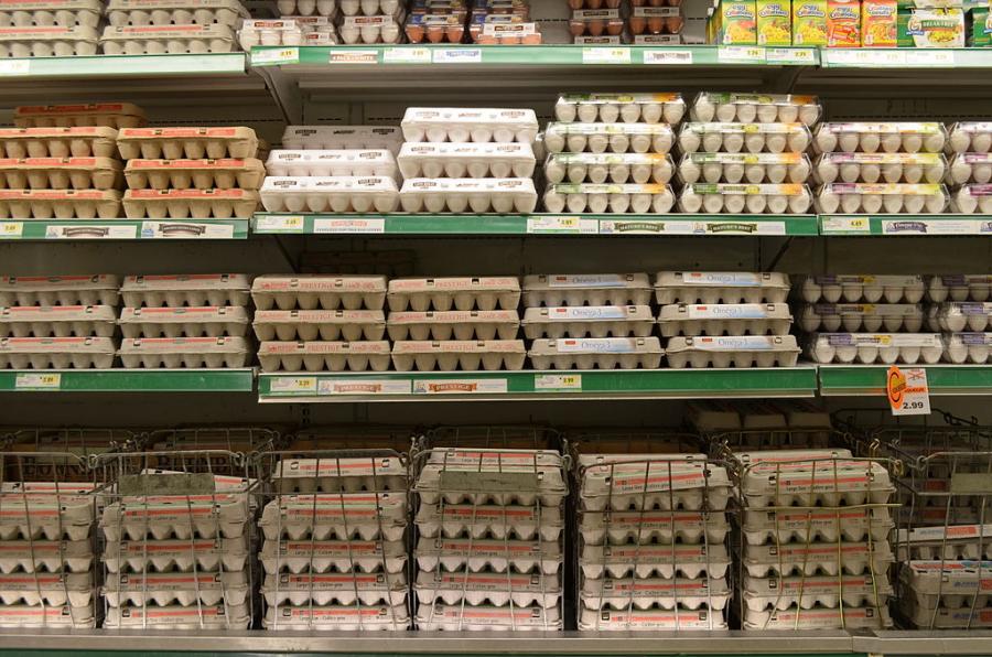 Shelves at a grocery store holding cartons of eggs