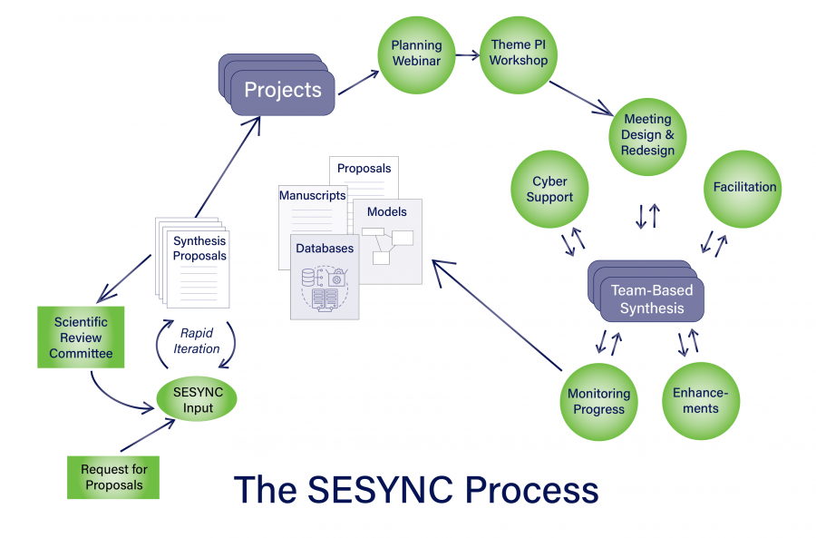 SESYNC Process