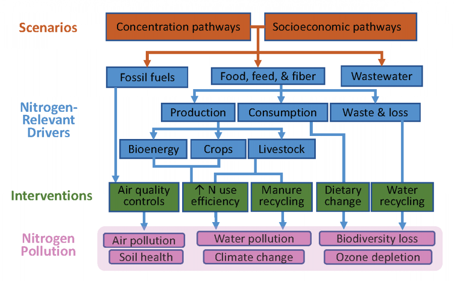 A socio-environmental framework depicting scenario modeling of potential nitrogen (N) futures under new interventions across the food system and across all N-polluting sectors (agriculture, industry, transport, and wastewater)