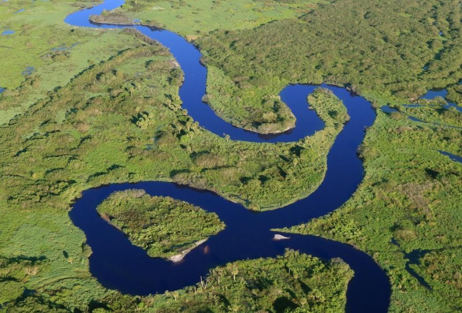 Meandering River in Florida Feedback Loops