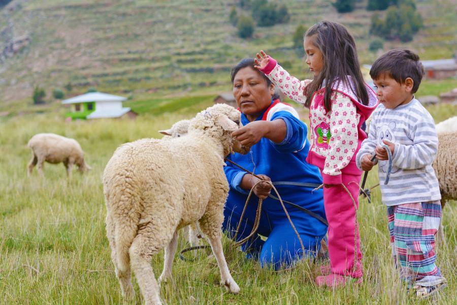 A woman with two small children tending to a sheep