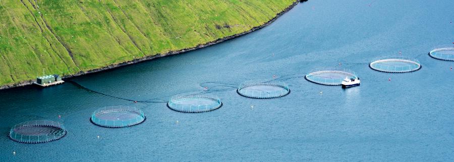 aquaculture ponds in the sea