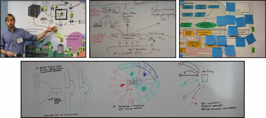Four photographs of examples of mental models written out on whiteboards and posterboards