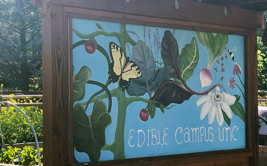 A photo of a painted sign that says "Edible Campus UNC" with garden beds visible in the background