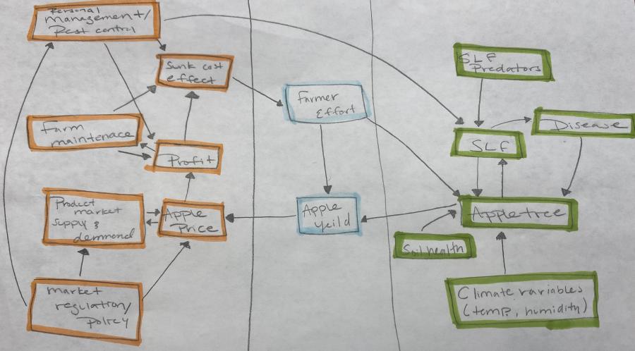 An example of a concept map