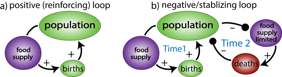 This concept map illustrates the relationships between population size and food supply on birth rates.