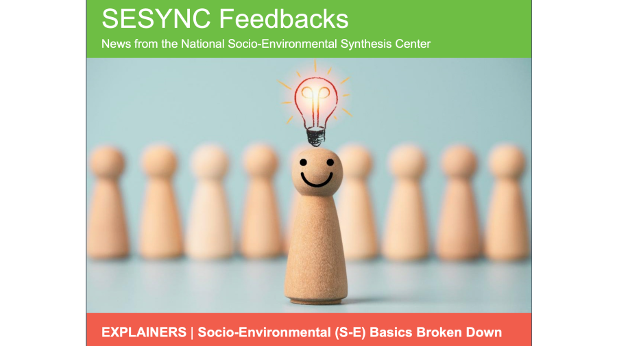 The top section of the SESYNC July Newsletter 