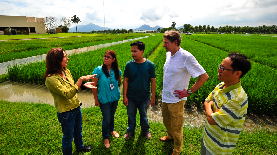 A group of researchers standing in front of a field.