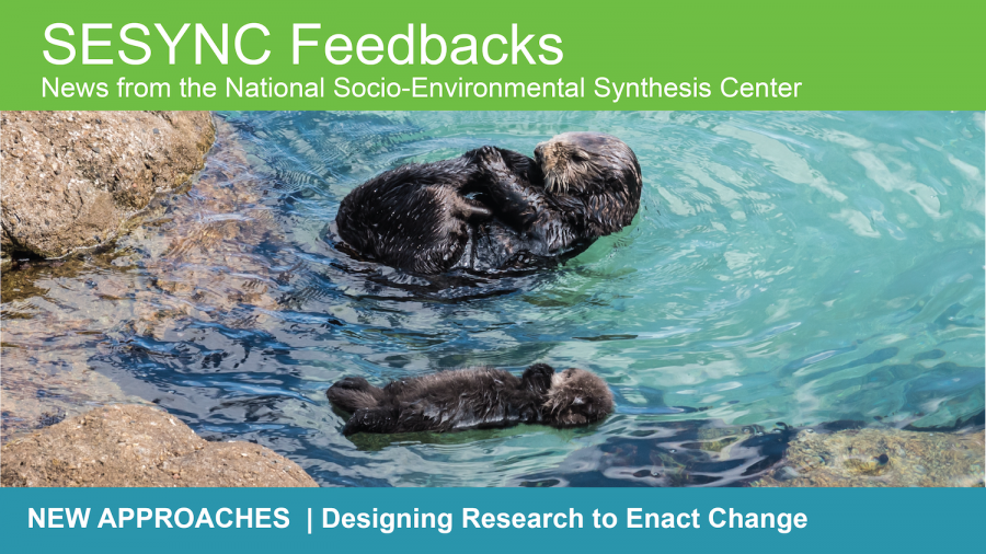 A preview of the May 2025 SESYNC newsletter