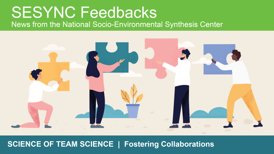 An image showing the top portion of the SESYNC newsletter