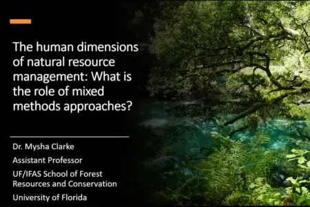 Screen shot of Mysha Clarke's presentation showing the title of the talk and an image of some trees