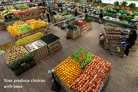 Produce in grocery store