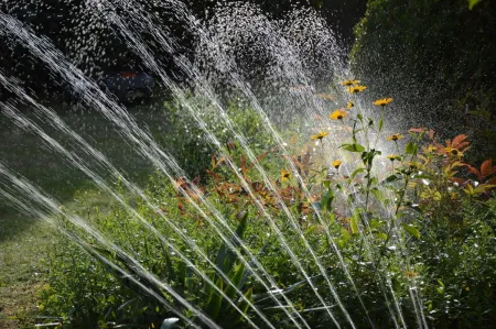 A sprinkler watering some plants and flowers