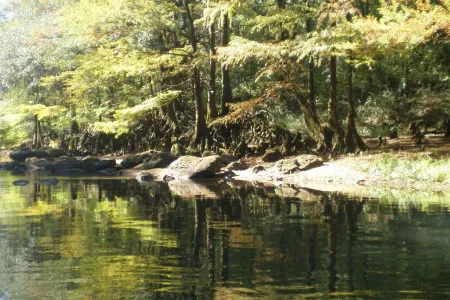 A creek's shoreline