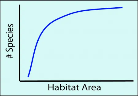 Simple graph depicting the relationship between the number of species and habitat area
