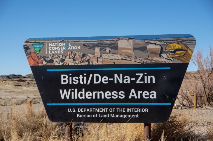 Bisti/De-Na-Zin Wilderness area sign