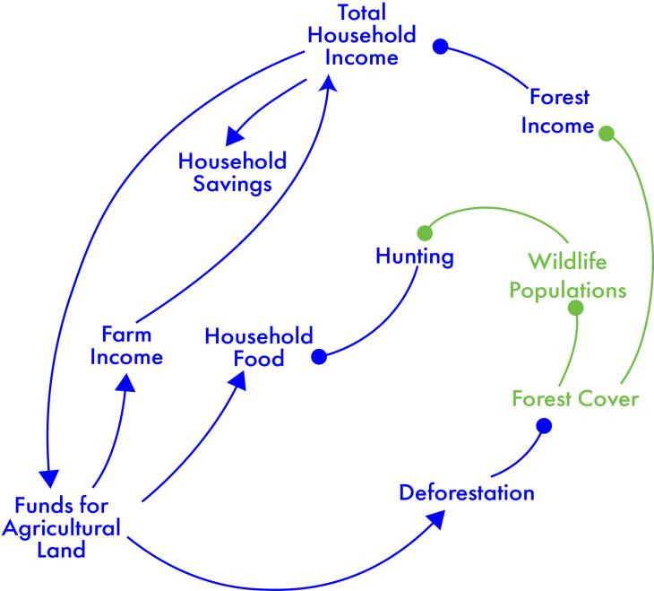 A sample socio-environmental causal diagram of a rural system.