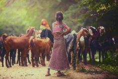 A young girl standing in front of a small herd of goats